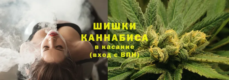 Канабис ГИДРОПОН  купить наркотики цена  Злынка 